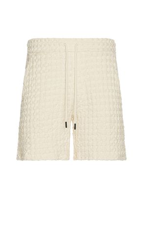 SHORTS in . Größe S. Also in XL/1X - OAS - Modalova