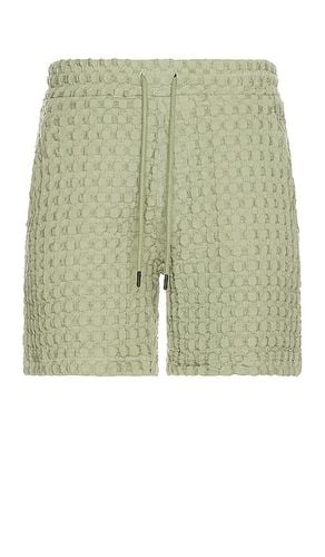 Dusty Porto Waffle Shorts in . - size L (also in S, XL/1X, XS) - OAS - Modalova