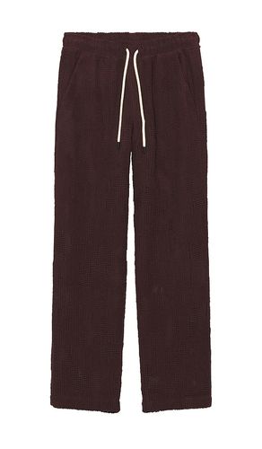 Grot Ayora Crochet Pants in . - size M (also in S, XL/1X) - OAS - Modalova
