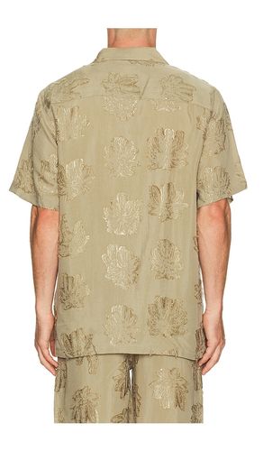 Palmoza Rocco Shirt in . Size S. Also in M, L, XL/1X - OAS - Modalova