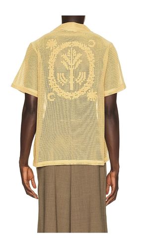 Terra Cuba Shirt in Yellow. - size L (also in S, XL/1X) - OAS - Modalova