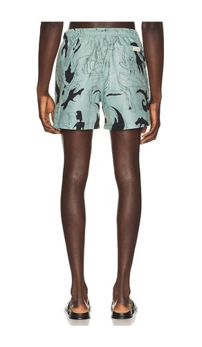 Guardo Swim Shorts in . Size L. Also in M, S, XL/1X - OAS - Modalova