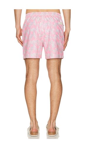 Octo Swim Shorts in . Size L. Also in M - OAS - Modalova