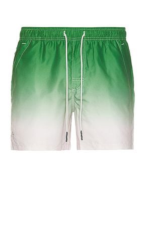 Beach Grade Swim Shorts in . - size L (also in M, XL/1X) - OAS - Modalova