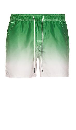 Beach Grade Swim Shorts in . - size L (also in XL/1X) - OAS - Modalova