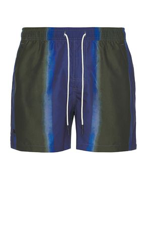 Murky Mist Swim Shorts in . - size L (also in M, S) - OAS - Modalova