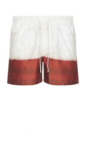 Vista Swim Shorts in . - size L (also in M, S, XL/1X) - OAS - Modalova