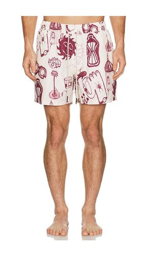 SHORTS in . Größe L. Also in M, S, XL/1X - OAS - Modalova