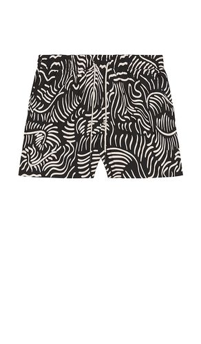 Tar Lorenzo Swim Shorts in . - size L (also in M, S, XL/1X) - OAS - Modalova