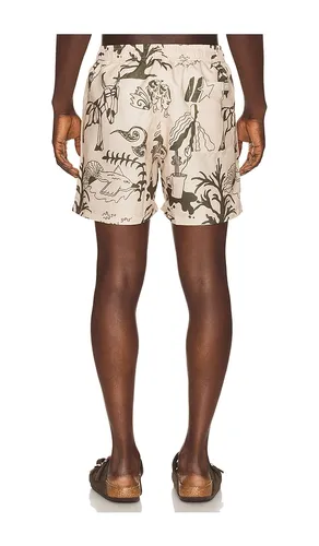 Poplan Swim Shorts in . Size M. Also in S - OAS - Modalova