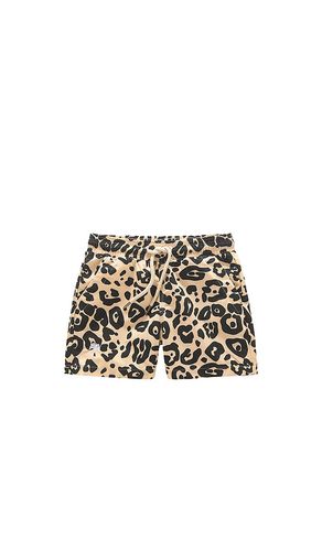 Kids Swim Shorts in Brown. - size 4 (also in 6) - OAS - Modalova