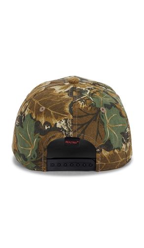 Design 07 5 Panel Snapback in - ONE OF THESE DAYS - Modalova