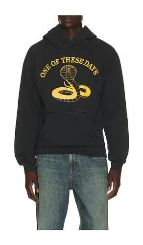 Cobra Pullover Hoodie in . Size L. Also in M, S, XXL/2X - ONE OF THESE DAYS - Modalova