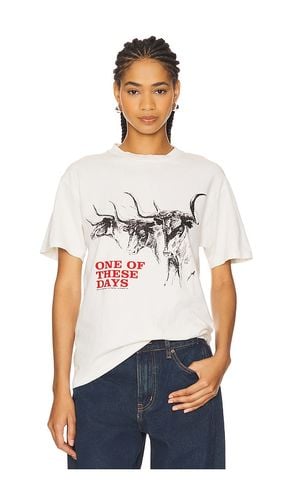 Long Horn T-Shirt in . Taglia M, S, XL/1X - ONE OF THESE DAYS - Modalova