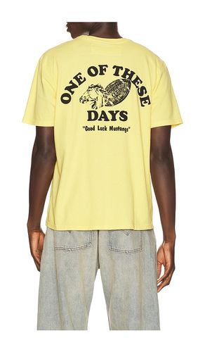 Good Luck Mustangs Tee in . - size L (also in M, S, XL/1X) - ONE OF THESE DAYS - Modalova