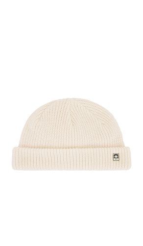 Obey Micro Beanie in Cream - Obey - Modalova