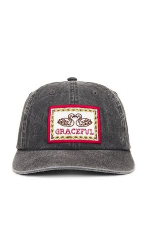 Graceful 6 Panel Pigment Strapback Hat in Black - Obey - Modalova