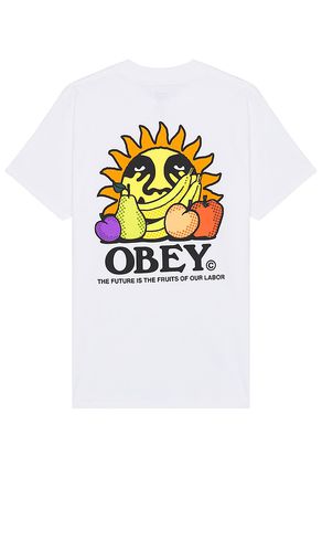 The Future Is The Fruits Of Our Labor Tee in . Size M - Obey - Modalova