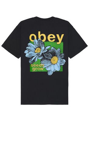 Seeds Grow Tee in Black. - size M (also in XL/1X) - Obey - Modalova