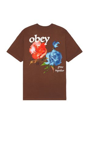 Camiseta grow together en color marrón talla L en - Brown. Talla L (también en M, XL/1X) - Obey - Modalova