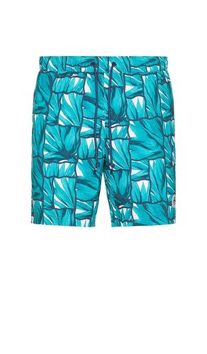Volley Agave Print Swim Shorts in Blue. - size L (also in M, S, XL/1X) - Original Penguin - Modalova