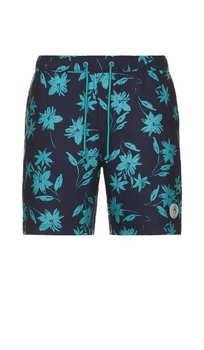 All Over Print Swim Shorts in Black. - size M (also in S) - Original Penguin - Modalova