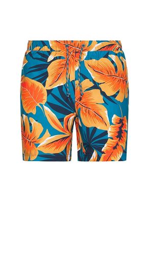 Volley Tropical Leaf Swim Short in Blue,Orange. - size L (also in M, S) - Original Penguin - Modalova
