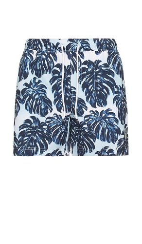 All Over Print Monstera Swim Trunk in Blue. - size L (also in S, XL/1X) - Original Penguin - Modalova