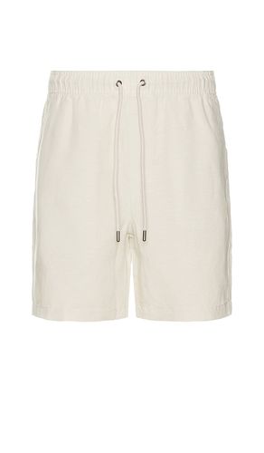 Air Linen Pull On Short 6 Shorts in Beige. - size L (also in S) - onia - Modalova