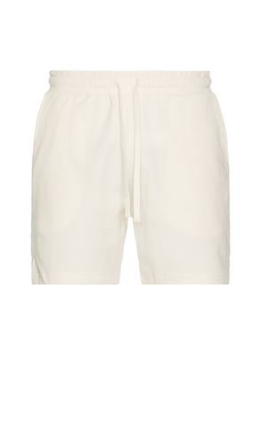 Macro Waffle Pull-on Short 6 in Cream. - size L (also in M, S) - onia - Modalova