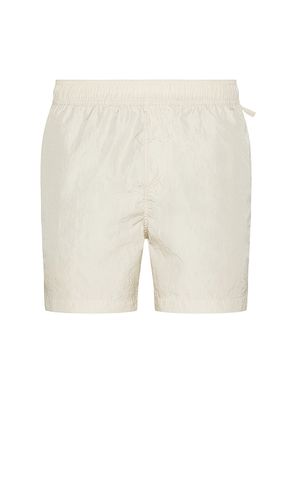 Nylon Crinkle 5 Swim Trunk in Light Grey. - size L (also in M, S) - onia - Modalova