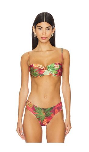 Alessia Bikini Top in Red. - size L (also in M, S, XS) - onia - Modalova