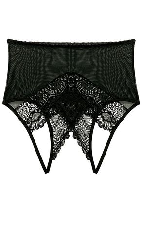 Whisper Sweet Nothings Coucou Hi Waist Brief in . - size L (also in M) - Only Hearts - Modalova