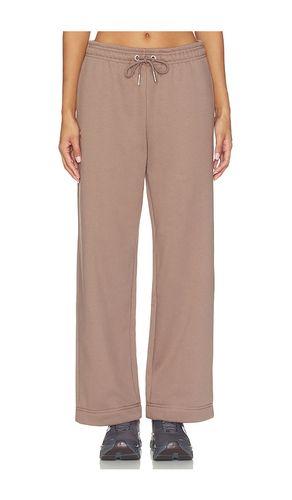 Club Collective Pants in Taupe. - size L (also in M, S, XS) - On - Modalova