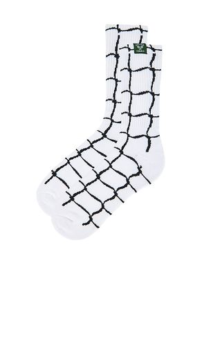 Oyster Net Socks in White - Oyster - Modalova