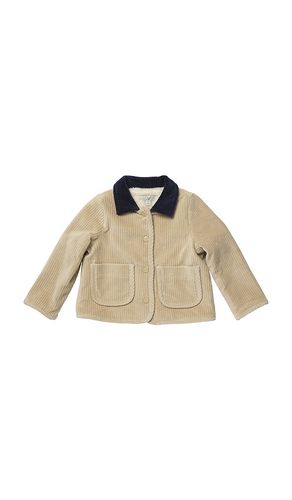 Boys Jace Plush Jacket in Tan. - size 2 (also in 3, 4, 5, 6) - Pink Chicken - Modalova