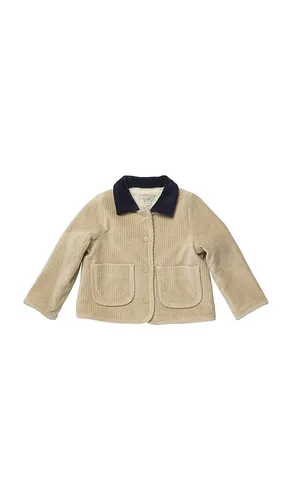 Boys Jace Plush Jacket in . Size 2. Also in 3, 4, 5 - Pink Chicken - Modalova