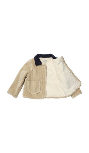 Boys Jace Plush Jacket in Tan. - size 2 (also in 3, 4, 5, 6) - Pink Chicken - Modalova