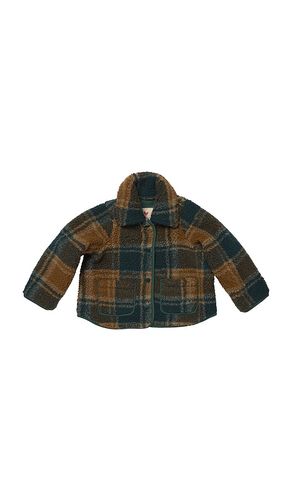 Boys Jace Jacket in Brown. - size 2 (also in 3, 4, 5, 6) - Pink Chicken - Modalova