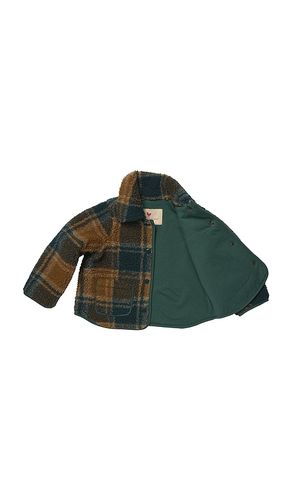 Boys Jace Jacket in Brown. - size 2 (also in 3, 4, 5, 6) - Pink Chicken - Modalova