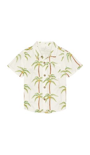 Boys Jack Shirt in . Size 2. Also in 3, 4 - Pink Chicken - Modalova