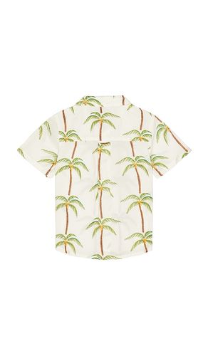 Boys Jack Shirt in . Size 2. Also in 3, 4 - Pink Chicken - Modalova