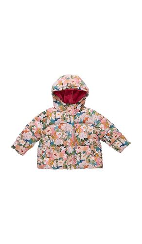 Ruffle Pete Puffer in Pink. - size 3 (also in 4, 5) - Pink Chicken - Modalova