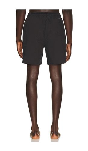 BADESHORTS ROWAN in . Größe 30. Also in 32, 34, 36 - Percival - Modalova