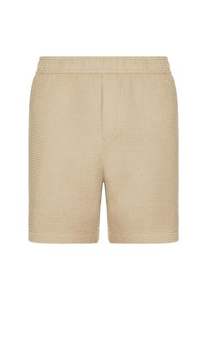 Chaimers Short in Brown. - size L (also in M, S, XL/1X) - PAIGE - Modalova