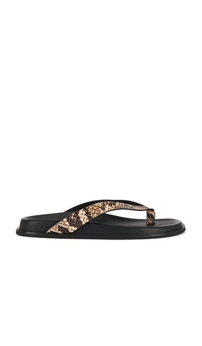 Zadie Sandal in . Size 6. Also in 6.5, 8, 8.5, 9 - PAIGE - Modalova