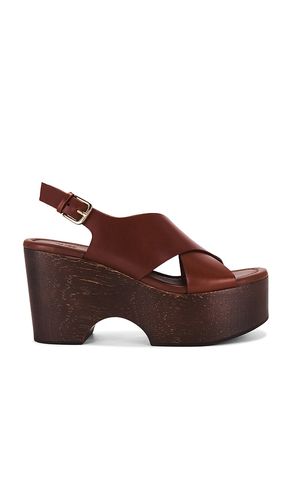 Reid Clog in Brown. - size 10 (also in 6, 6.5, 7, 7.5, 8.5, 9, 9.5) - PAIGE - Modalova