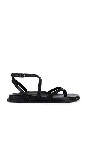 Zana Sandal in . - size 10 (also in 6, 6.5, 7, 8, 8.5, 9, 9.5) - PAIGE - Modalova