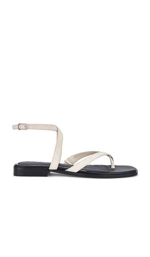 Reese Sandal in Ivory. - size 6 (also in 6.5, 7, 7.5, 8, 8.5, 9, 9.5) - PAIGE - Modalova