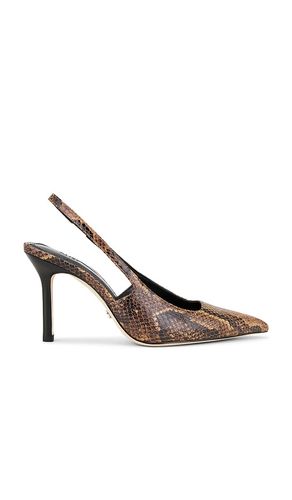 Sienna Pump in Brown. - size 6 (also in 6.5, 7, 7.5, 8, 8.5, 9.5) - PAIGE - Modalova
